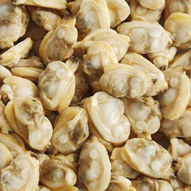 succulent clam meat CLAM MEAT – Jack Hook Seafood