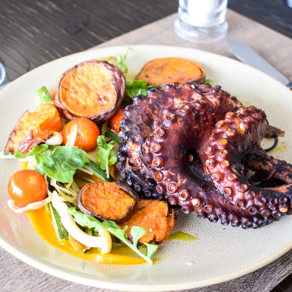 OCTOPUS COOKED
