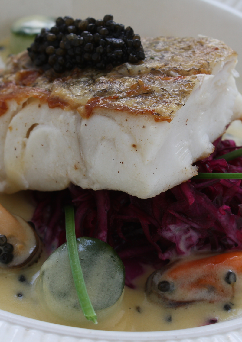 COD LOINS