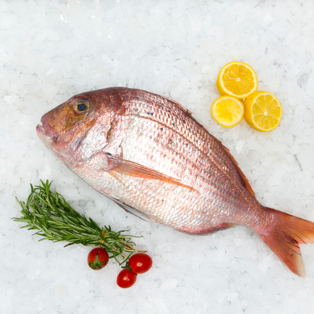 RED BREAM Jack Hook Seafood