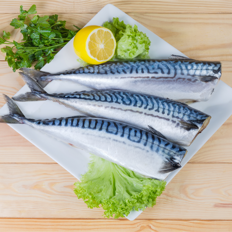 MACKEREL