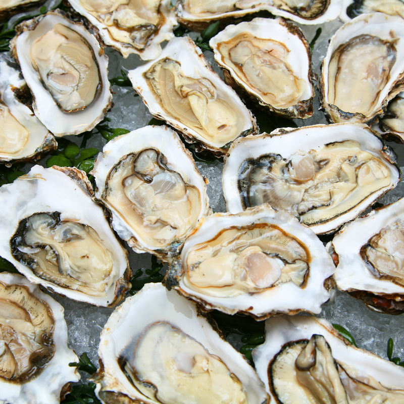 OYSTERS