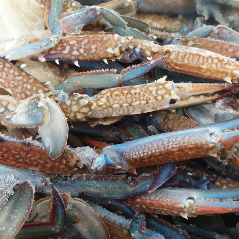 CRAB CLUSTERS